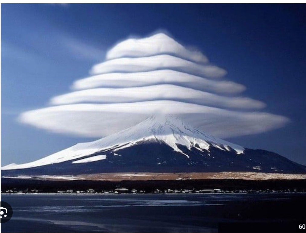 lenticularus